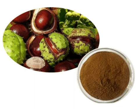 Extrait de marron d'Inde - l'ingrédient principal de Hondrocream